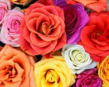 La leyenda de “Las Rosas”